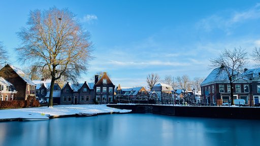 {{value.image.alt }}